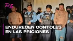 TN5 Estelar - martes 6 de octubre 2026