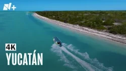 Yucatán | 4K | Sonidos relajantes y del mar