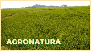 2026/ 08/ 07 -  Agronatura -🌾🎥 Benvinguts a un nou programa d'Agronatura!