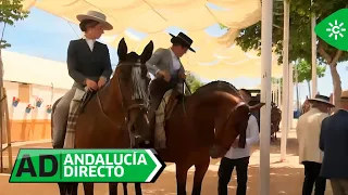 Andalucía directo | Día grande del caballo en la feria de Córdoba