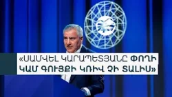 ՀԷՑ-ի հանրային գերակա շահ ճանաչվելը հետաձգվում է մինչև մայիսի 25-ը