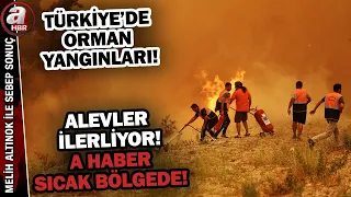 Turkey is battling wildfires! A Haber is at the wildfire zone in Seydikemer! | A Haber