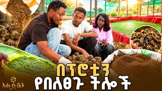 ሲታዩ ቢያስጠሉም ጥቅማቸው ብዙ ነው