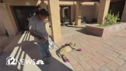 Heat relief resources not yet ready for record-breaking temps in the Valley