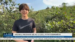 Një fermer nga Hereçi i Gjakovës po dëshmon se pemëtaria mund të jetë një veprimtari fitimprurëse