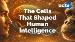 CARTA: Human-specific Alterations in Brain Cellular Proportions with Genevieve Konopka CARTA: Human-specific Alterations in Brain Cellular Proportions with Genevieve Konopka