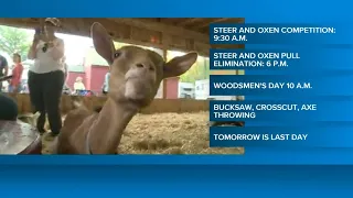 Oxford County Fair continues Friday with various competitions
