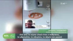 ECO NEWS BY ΔΕΗ | 17/10/2026