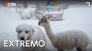 TOURISTS, MINERS, AND SHEEP TRAPPED by the storm in CATAMARCA