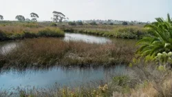 One Year After Removing Riverbed Encampment, Dozens Connected to Housing and Still Receiving Support