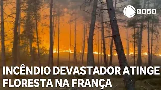 Devastating fire hits forest in northern France