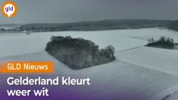 GLD Nieuws 29 januari 2026