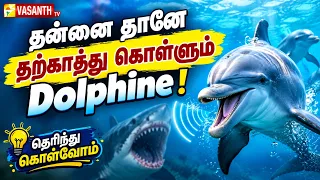 உலகத்துல ஒரே மாறி ஆறு நபர்கள் இருப்பாங்களா ! | Therinthu Kolvom | Vasanth TV