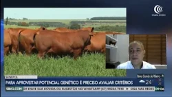Senepol: This breed offers a balance between carcass quality, fertility, body structure, and feed...