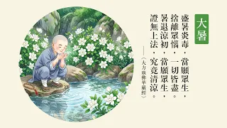 今日大暑｜捨盡眾惱 究竟清涼