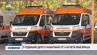 RM TV: 7-годишно дете е нахапано от 4 кучета във Враца