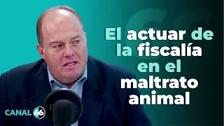 El actuar de la fiscalía en el maltrato animal