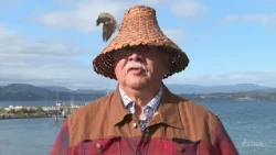 Two Island hereditary chiefs call for Patricia Bay Park to close, more consultation