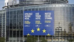 Почти две трети граждан ЕС готовы проголосовать на июньских выборах в Европарламент – опрос