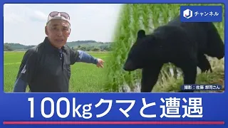100kg巨大クマと田んぼで遭遇“緊迫の瞬間”【スーパーJチャンネル】(2026年6月30日)