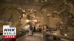 National Museum of Nature and Science, Tokyo - The Perfect 2-Hour Guide