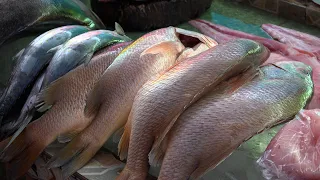 Red snapper and tomatoes rise in price at the Israel Lewites market