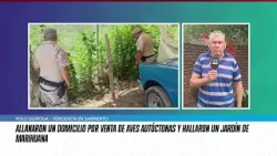 Allanaron un domicilio por venta de aves autóctonas y hallaron un jardín de marihuana Allanaron un domicilio por venta de aves autóctonas y hallaron un jardín de marihuana
