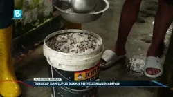 ISU HAIWAN JALANAN: TANGKAP DAN LUPUS BUKAN PENYELESAIAN MAMPAN
