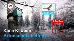 Wie künstliche Intelligenz zum Schutz von Deutschlands Wildtieren eingesetzt wird | DW Nachrichten