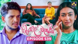 Hiripoda Wessa (හිරිපොද වැස්ස) | Episode 539 | 14th October 2026 | Swarnavahini TV