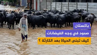 باكستان صمود في وجه الفيضانات  كيف تبنى الحياة بعد الكارثة ؟