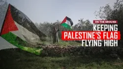 Raising Palestine's flag in the face of occupation