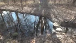 TERMÉSZET HÍREI (2026. február 24.) TERMÉSZET HÍREI (2026. február 24.)