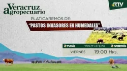Veracruz Agropecuario - Pastos Invasores en Humedales