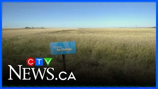 Sask. NDP calls for harvest cost relief