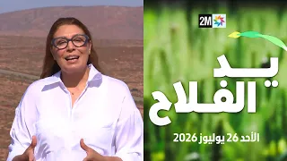 The Farmer's Hand: Sunday, July 26, 2026