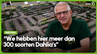 Dahliatuin Rekken weer geopend: ‘Hier is het hele dorp mee bezig’
