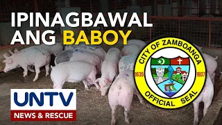 Zamboanga City, ipinagbawal ang pagpasok ng mga buhay na baboy mula Basilan dahil sa ASF