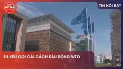 EU KÊU GỌI CẢI CÁCH SÂU RỘNG WTO