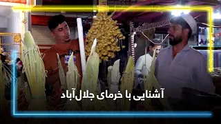 Introduction to Jalalabad dates / آشنایی با خرمای جلال‌آباد