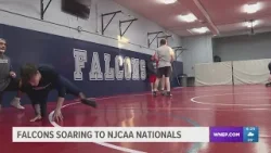 Falcons Wrestling Team From Lackawanna College Soaring Towards Nationals