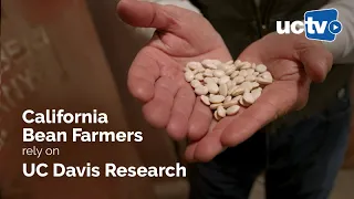 California Bean Farmers Rely on UC Davis Research