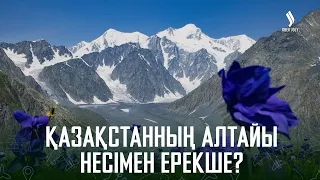 Қазақстанның Алтайы несімен ерекше? | Таза қала