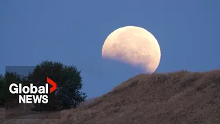 Near-total lunar eclipse lights up skies across Americas, Europe and Africa