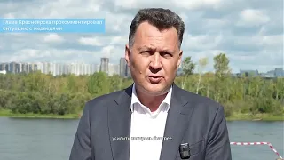 Krasnoyarsk Mayor Comments on Bear Situation