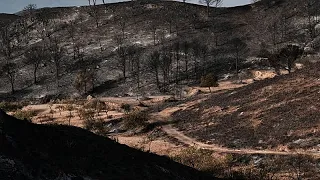 Espagne centrale : les pompiers luttent contre un vaste incendie ravageant des milliers d'hectares