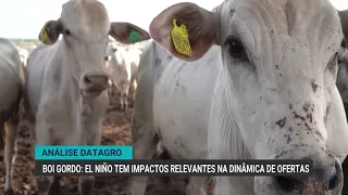 BLOCK 2 DATAGRO COMMENTARY VT