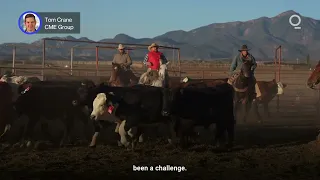 Record Beef Prices Sour the Summer BBQ  | Presented by CME Group