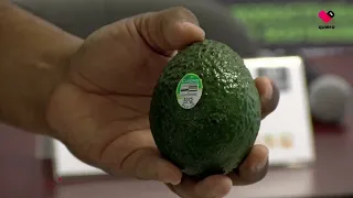 U.S. suspends imports of Michoacán avocados