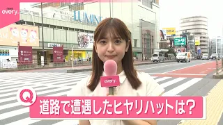 【きょうの1日】「動物が飛び出し」「公園の入り口」…道路で遭遇した“ヒヤリハット”は？  きょうから生活道路「時速30キロ」に